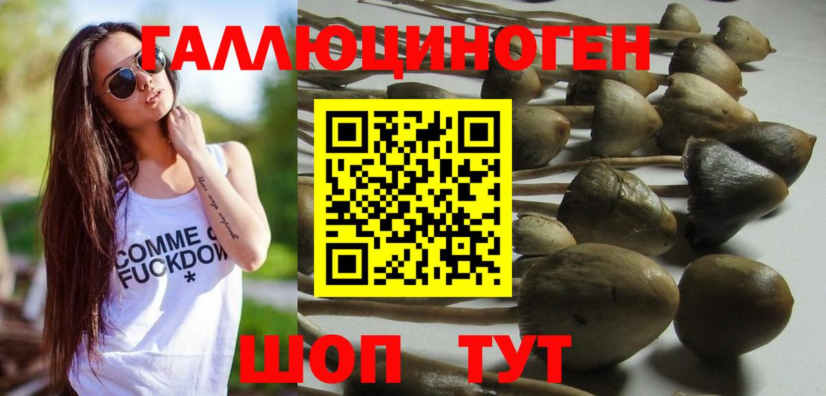 Можайск  Псилоцибиновые грибы GOLDEN TEACHER  Вход с VPN 